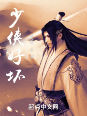 少侠好坏