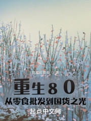 重生80：从零食批发到国货之光