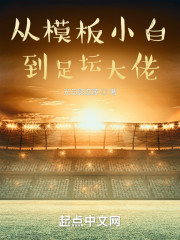 从模板小白到足坛大佬