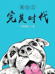 重生之完美时代