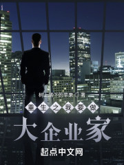 重生之我要做大企业家