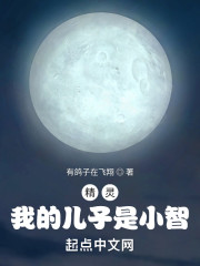 精灵：我的儿子是小智