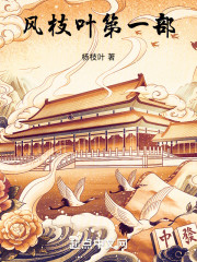 风枝叶第一部
