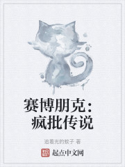 赛博朋克：疯批传说