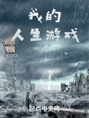 我的人生游戏