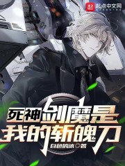 死神：剑魔是我的斩魄刀