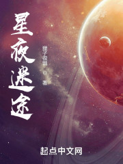 星夜迷途