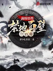 满级悟性：禁地面壁三百年