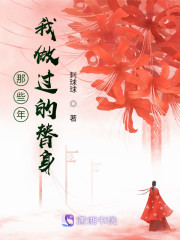 那些年我做过的替身