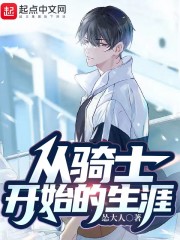 从骑士开始的生涯