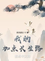 我的加点长生路