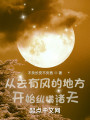 从去有风的地方开始纵横诸天封面图