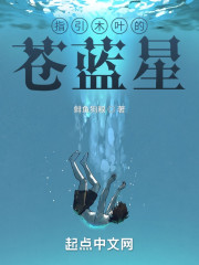 指引木叶的苍蓝星