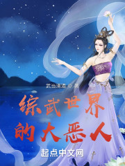综武世界的大恶人