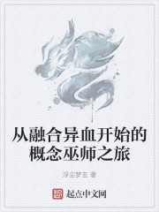从融合异血开始的概念巫师之旅