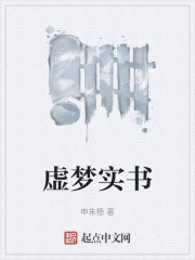 虚梦实书