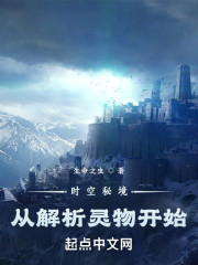 时空秘境：从解析灵物开始