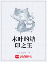 木叶的结印之王