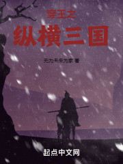 穿王之纵横三国