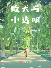 败犬与小透明