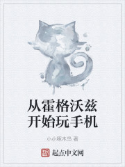 从霍格沃兹开始玩手机