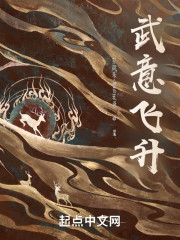武意飞升