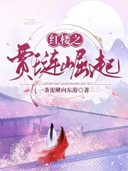 红楼之贾琏崛起