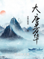 大唐芳华