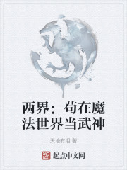 两界：苟在魔法世界当武神