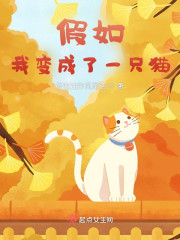 假如我变成了一只猫