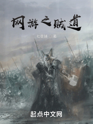 网游之贼道