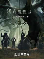 我真没想当王