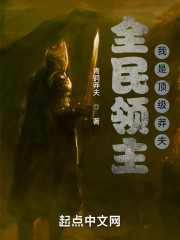 这个领主有点莽