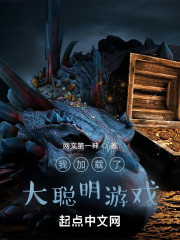 我加载了大聪明游戏