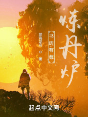 书房有尊炼丹炉