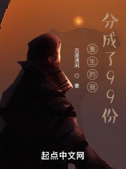 重生的我，分成了99份