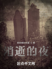 消逝的夜