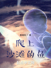 爬上沙滩的鱼