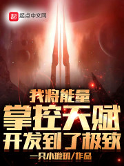 我将能量掌控天赋开发到了极致