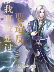 我真没想过要造反