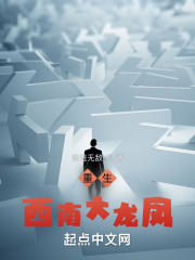 重生：西南大龙凤