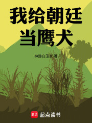 我给朝廷当鹰犬