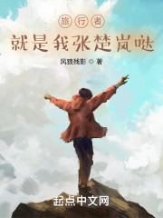 旅行者就是我张楚岚哒