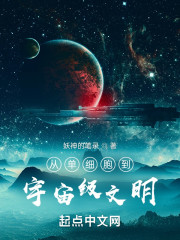 从单细胞到宇宙级文明