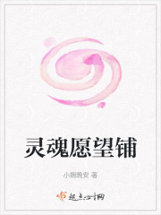 灵魂愿望铺