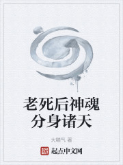 老死后神魂分身诸天