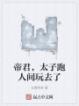 帝君，太子跑人间玩去了封面图