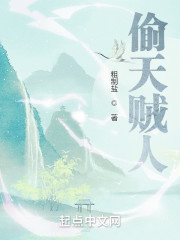 偷天贼人