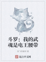 斗罗：我的武魂是电王腰带