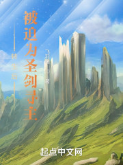 转生后被迫为圣剑寻主
